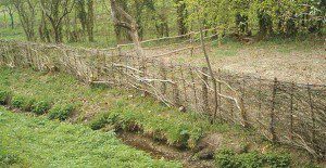 Une clôture en plessis (source : promhaies.net) 