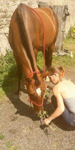 Découverte du noisetier